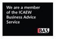 Business Advice Service